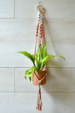 Load image into Gallery viewer, Colorful Twist Plant Hangers
