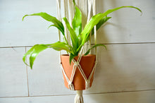 Load image into Gallery viewer, Swirled Wall Plant Hanger
