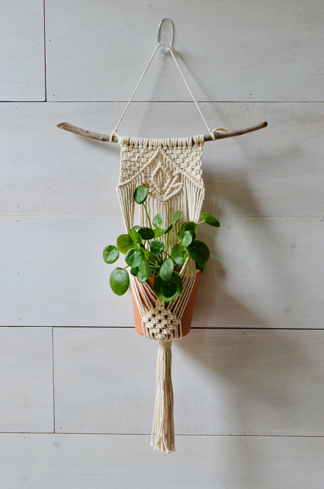 Wall Plant Hanger with a Lotus Flower Design